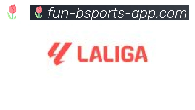 bsports体育合作伙伴