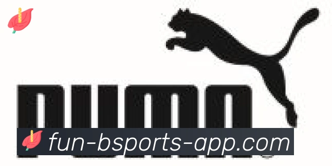 bsports体育合作伙伴