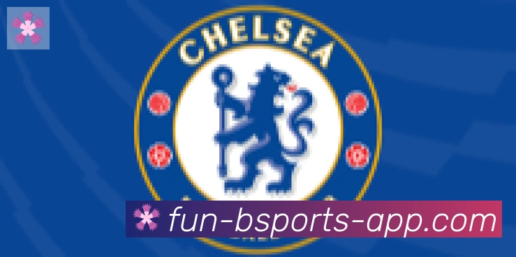 bsports体育合作伙伴